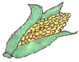 corn.gif (5407 bytes)